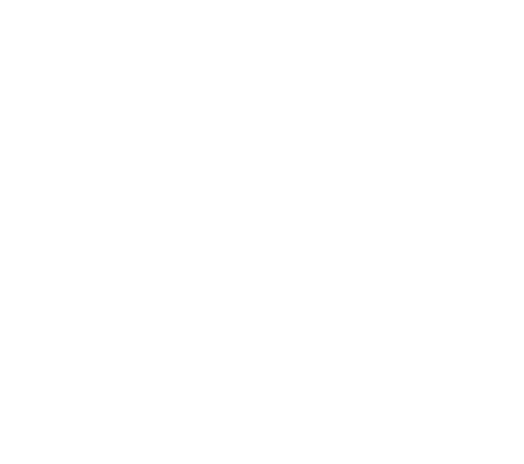 van rijn interieur design